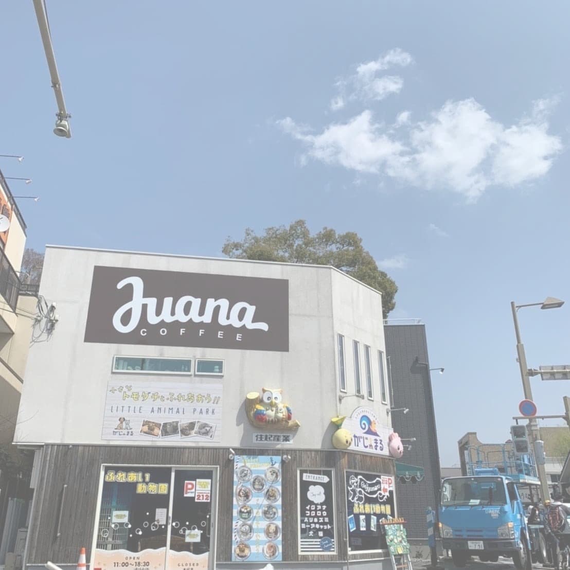 Luana Coffeeルアナコーヒー三島店